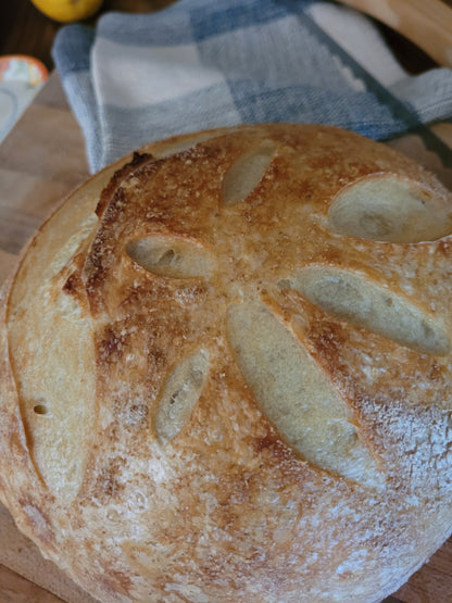 Homemade Sourdough Bread