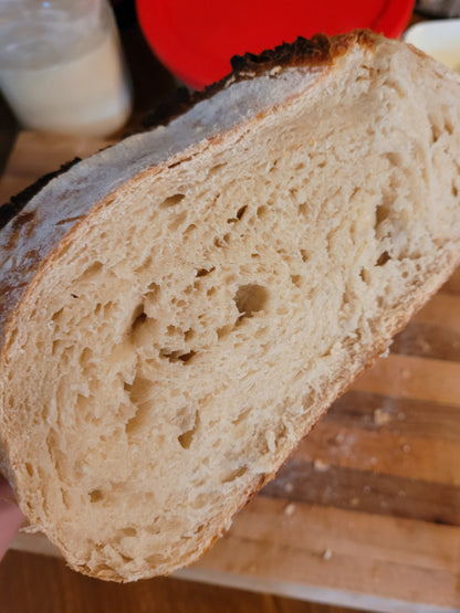 Homemade Sourdough Bread