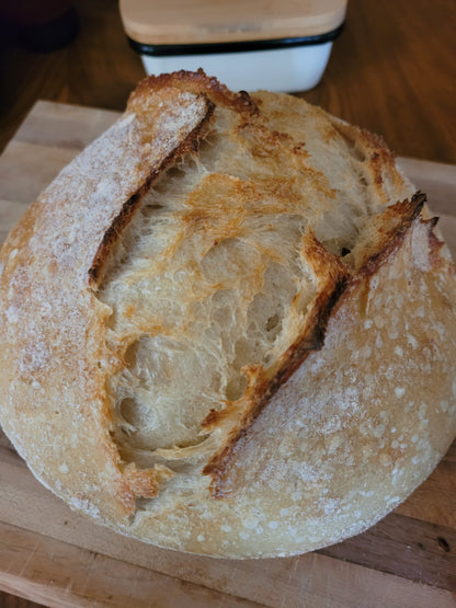 Homemade Sourdough Bread