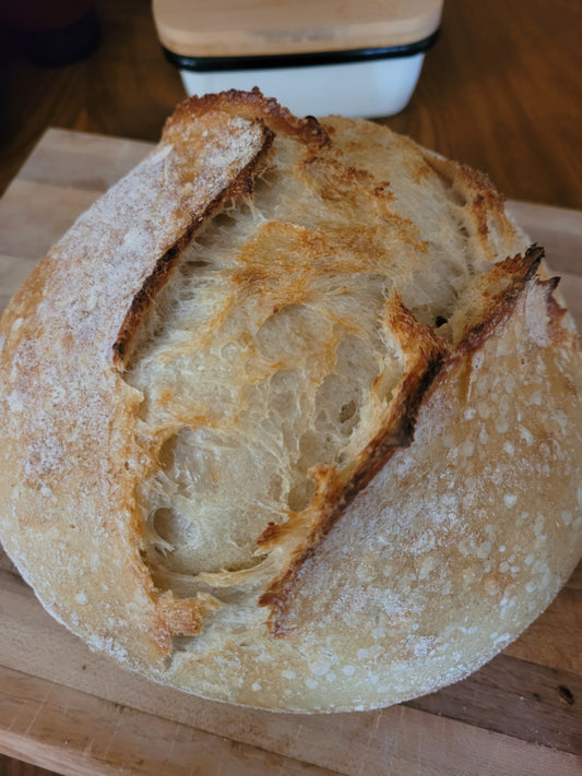 Homemade Sourdough Bread
