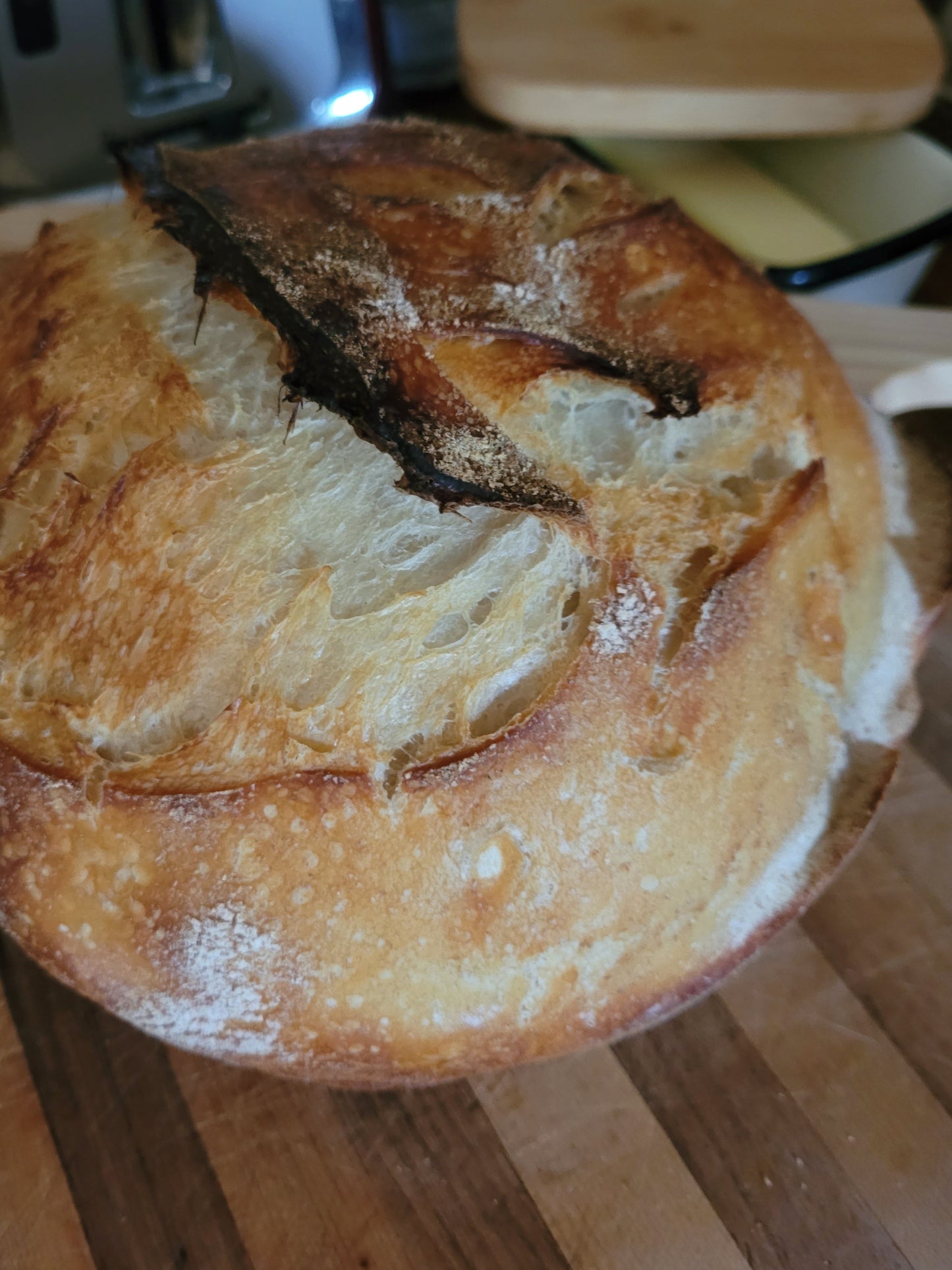 Homemade Sourdough Bread